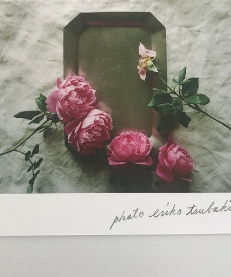 季節の葉書 薔薇