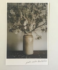 ＼NEW／季節の葉書　山桜