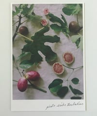 季節の葉書  無花果