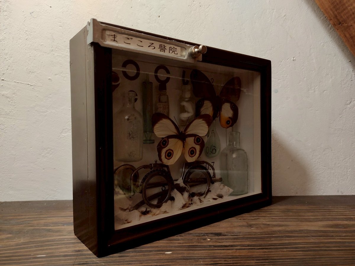 うつせみ標本屋／-眼科- | 箱の中のお店・公式通販