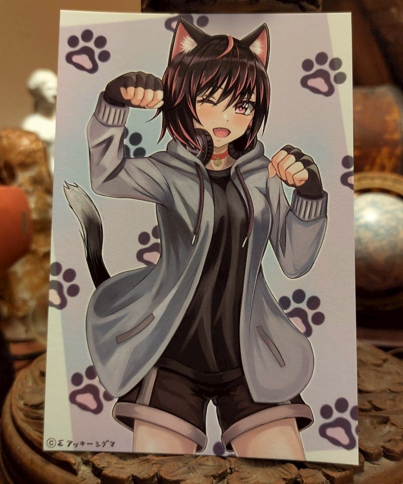 アッキーシグマ／ポストカード 黒猫ちゃん | 箱の中のお店・公式通販