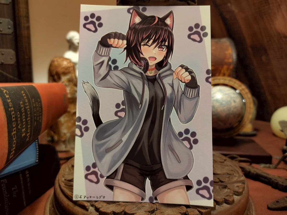 アッキーシグマ／ポストカード 黒猫ちゃん | 箱の中のお店・公式通販