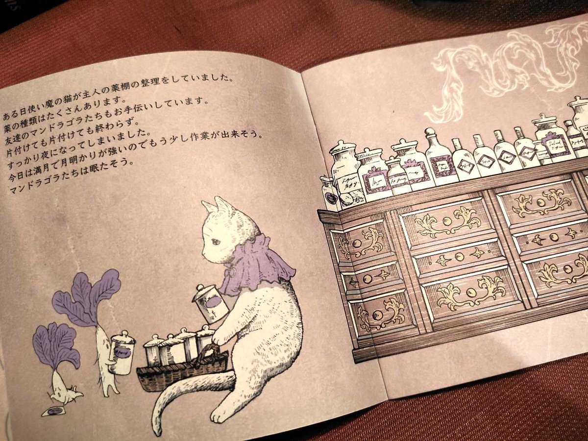 医療系雑貨生みたて卵屋・使い魔の書ーはじめての旅ー | 箱の中