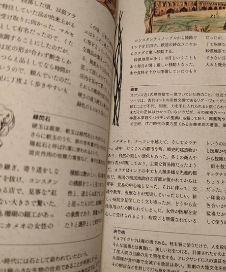 医療系雑貨生みたて卵屋・毒と薬の蒐集譚(芸術新聞社)