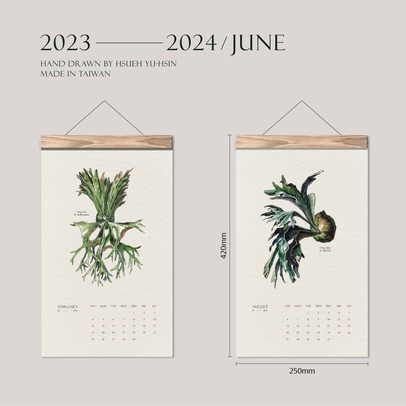 数量限定 ビカクシダ 原種18種 植物画 カレンダー 2023年版 （2023年1 ...