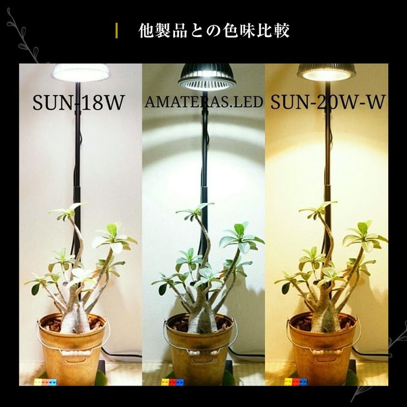 AMATERAS 植物育成用LED 20W 2個セット 送料無料!! | vandaka pl...