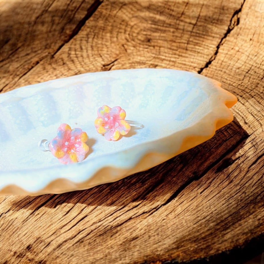 67e53953a2895b691c4ca06a