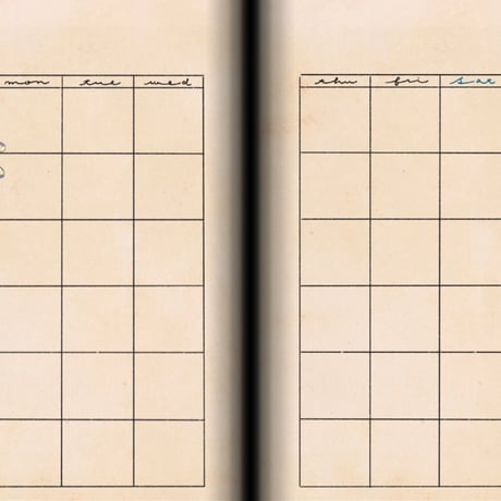 (72P/1ヶ月見開きタイプ)12ヶ月フリースケジュール