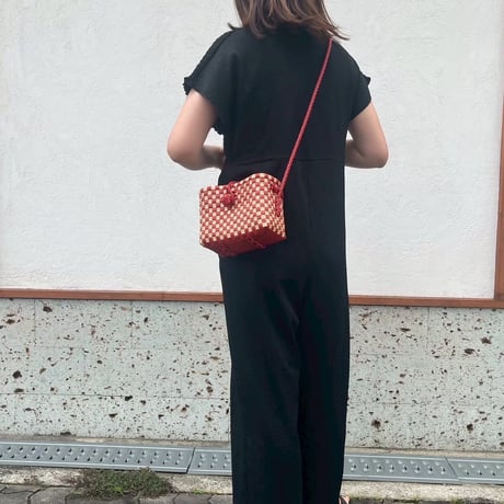 【6月8日(月)〜6月12日(金)発送】 Hello Bag No.23 ' gingham '_ Apple Pie