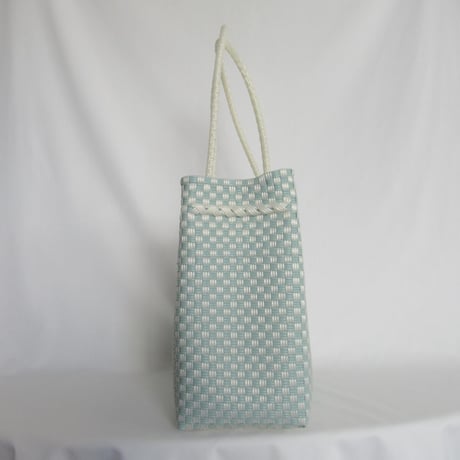 【11月2日(月)〜11月6日(金)発送】Gummy Bag No.500 (Size: L) ' gingham ' _Dusty Blue Fizz