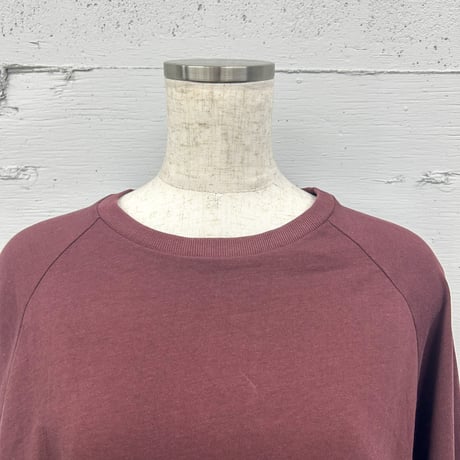 raglan long sleeve Tee