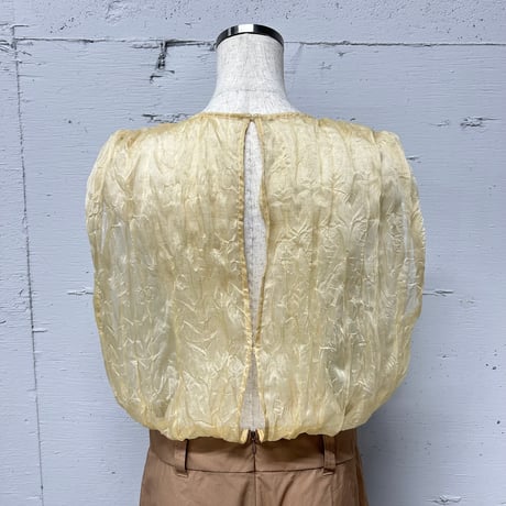 sheer tops all-in-one