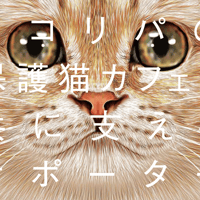 月々 2999円 からの猫助け！ネコリパファンクラブ　2999円