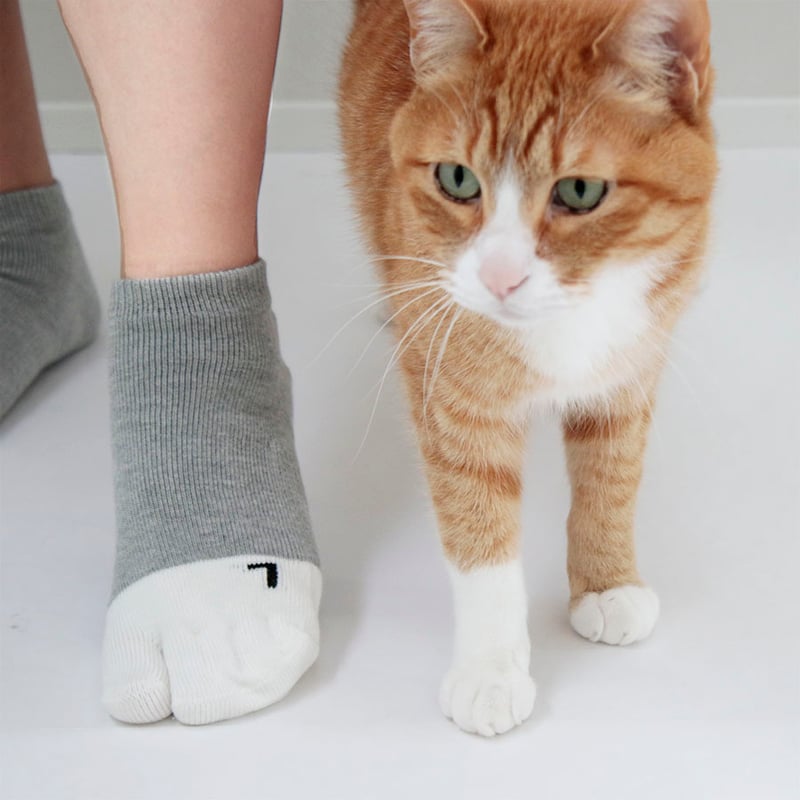 能ある猫は爪隠すシリーズ 5本指足袋ソックス 靴下猫【足袋・アンクル