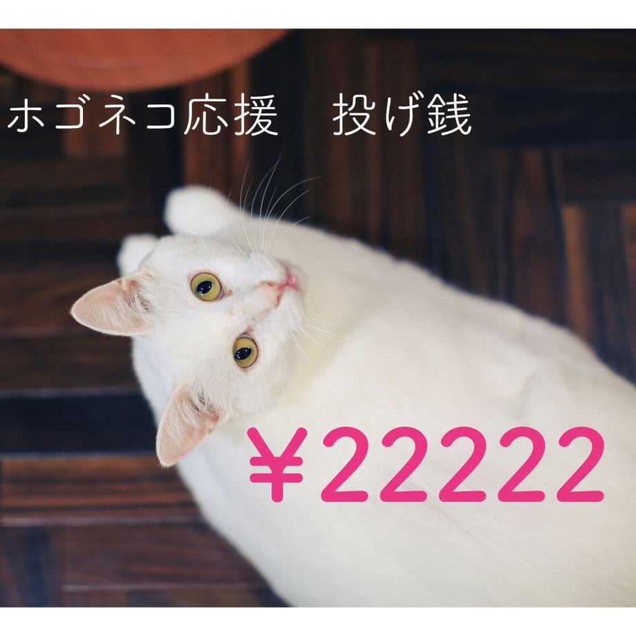 5eabeee95157624a7b809bc5