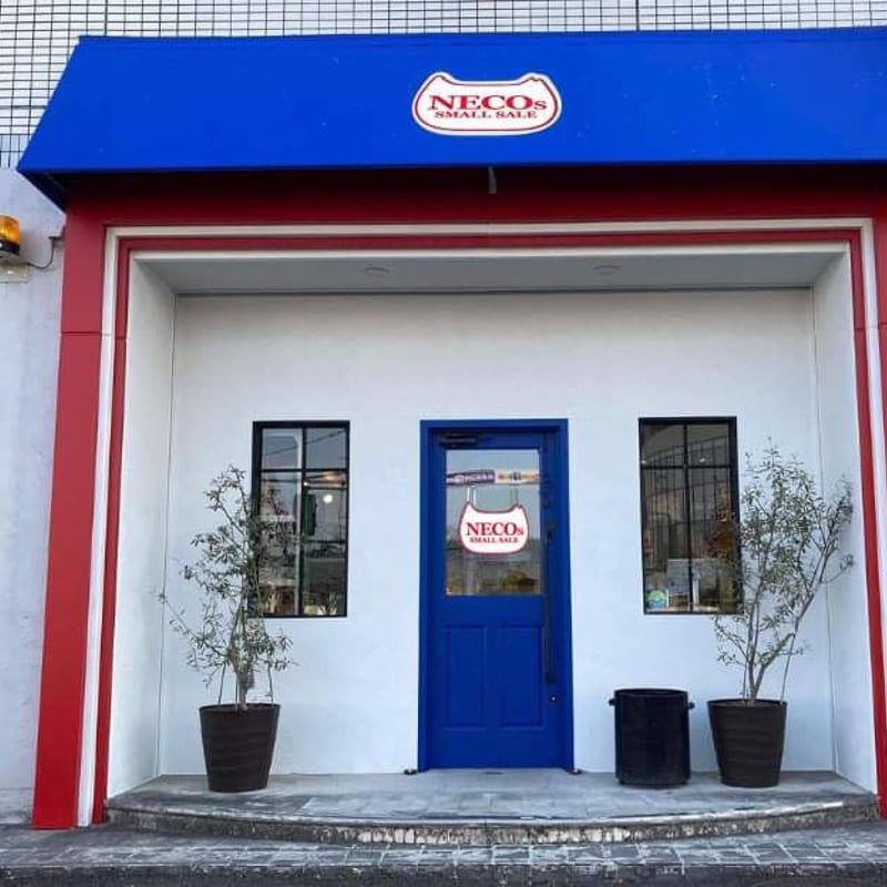 他商品との同梱不可!!】ネコリパ応援玉手箱／送料無料／冷蔵または冷凍