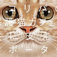 月々 2222円 からの猫助け！ネコリパファンクラブ　2222円  にゃんにゃんにゃんにゃん
