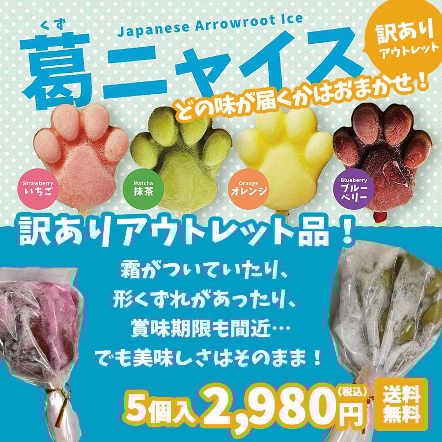 ネコスより出荷・ネコス出荷商品以外との同梱不可】訳ありアウトレット