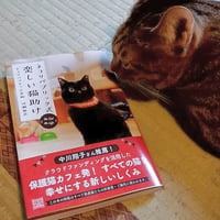 ネコリパブリック式　楽しい猫助け
