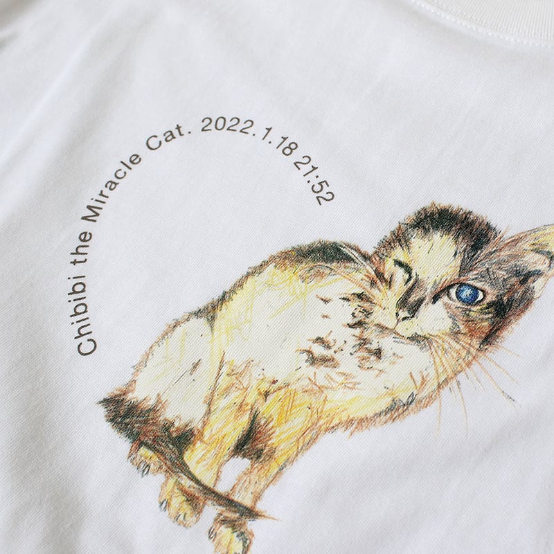 ちびび ちびび基金】新デザイン登場！ 奇跡の子ちびび Chibibi the Miracle Cat