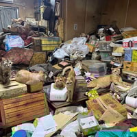 単発サポーター　熊取町店　ブロマイド