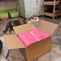 【代理購入】ネコリパオリジナル　うんち消臭袋　業務用代理購入
