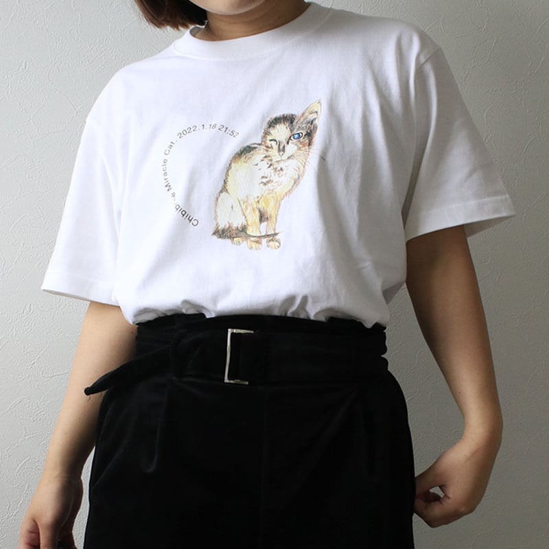 ちびび基金】新デザイン登場！ 奇跡の子ちびび Chibibi the Miracle Cat