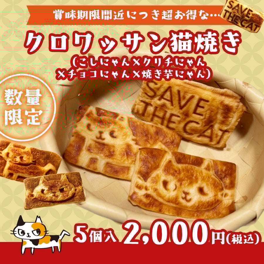 猫屋敷たまこ　おまとめ商品2点 ネコスより出荷・ネコス出荷商品以外との同梱不可】賞味期限間近お得な