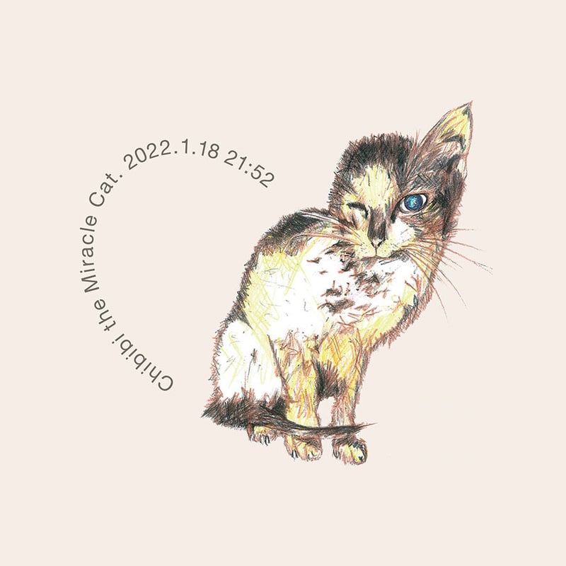 ちびび基金】新デザイン登場！ 奇跡の子ちびび Chibibi the Miracle Cat