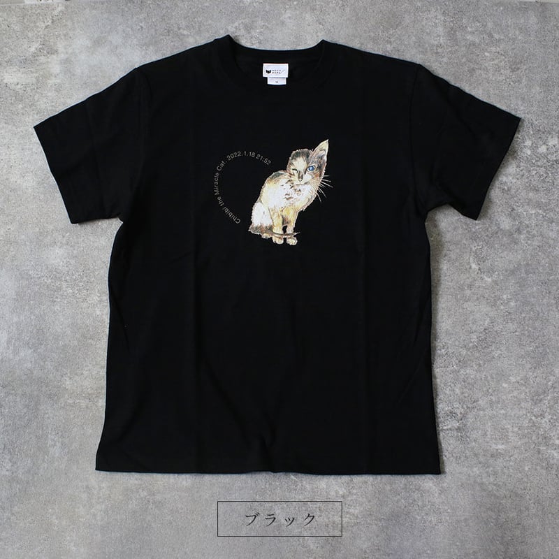 ちびび ちびび基金】新デザイン登場！ 奇跡の子ちびび Chibibi the Miracle Cat