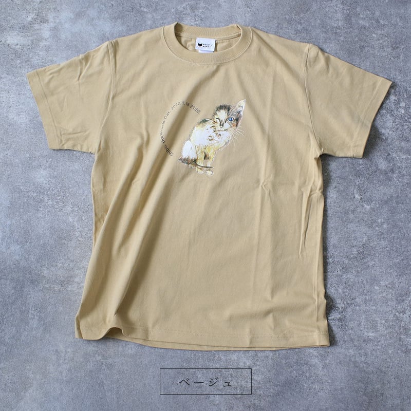 ちびび基金】新デザイン登場！ 奇跡の子ちびび Chibibi the Miracle Cat