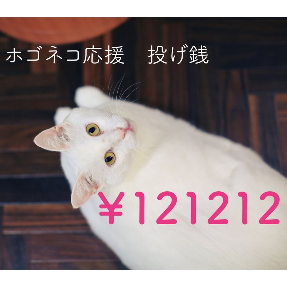 5eabef4534ef011a24b748fa