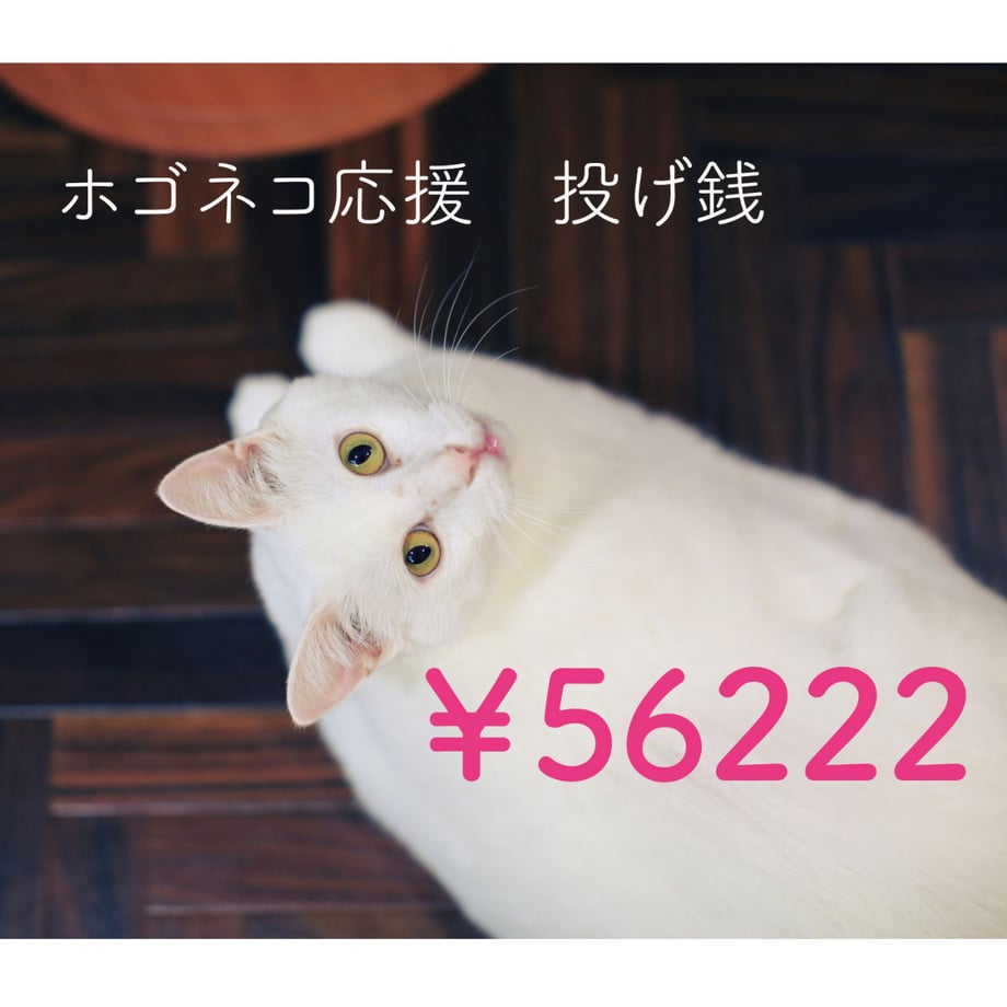 5eabef0cbd2178113c598d67