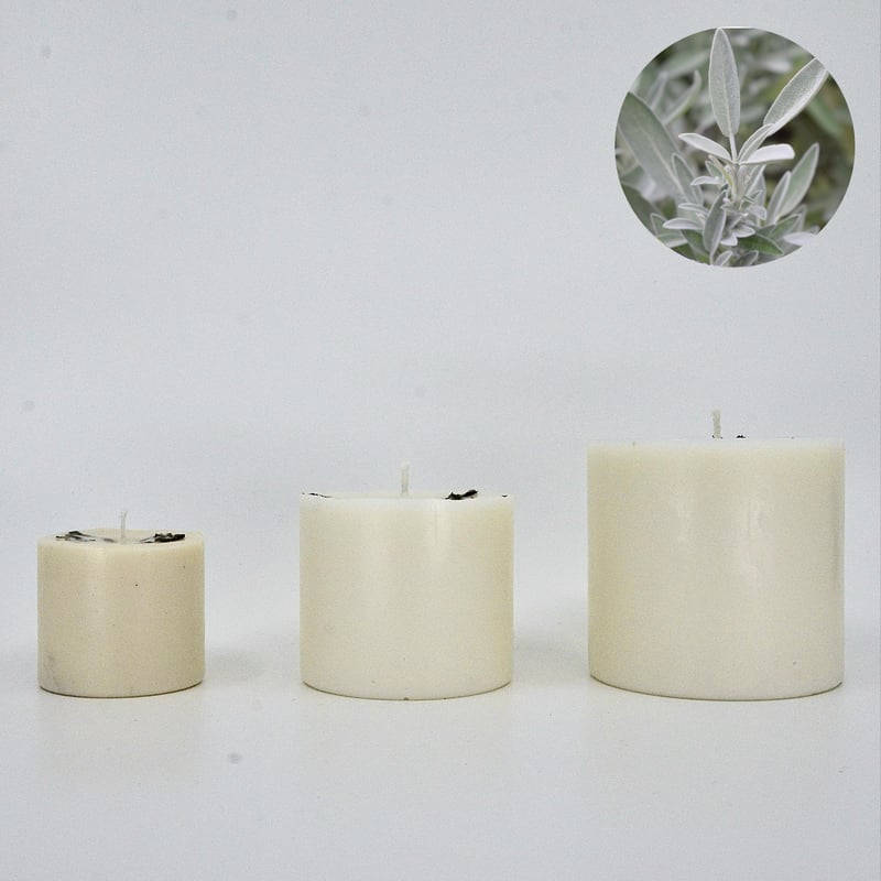国産ホワイトセージ ピラーキャンドル | Thousand Leaves