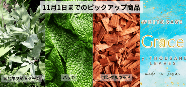 11月1日まで開催中