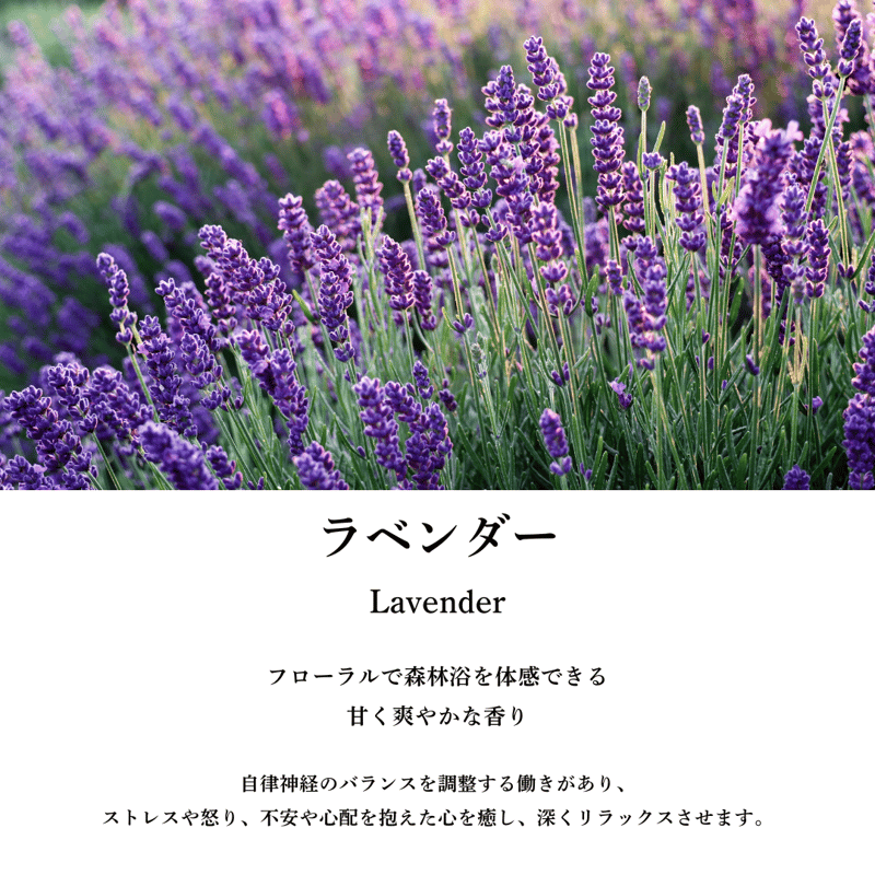 特典付き！】国産ホワイトセージスプレー8種類スターターキット