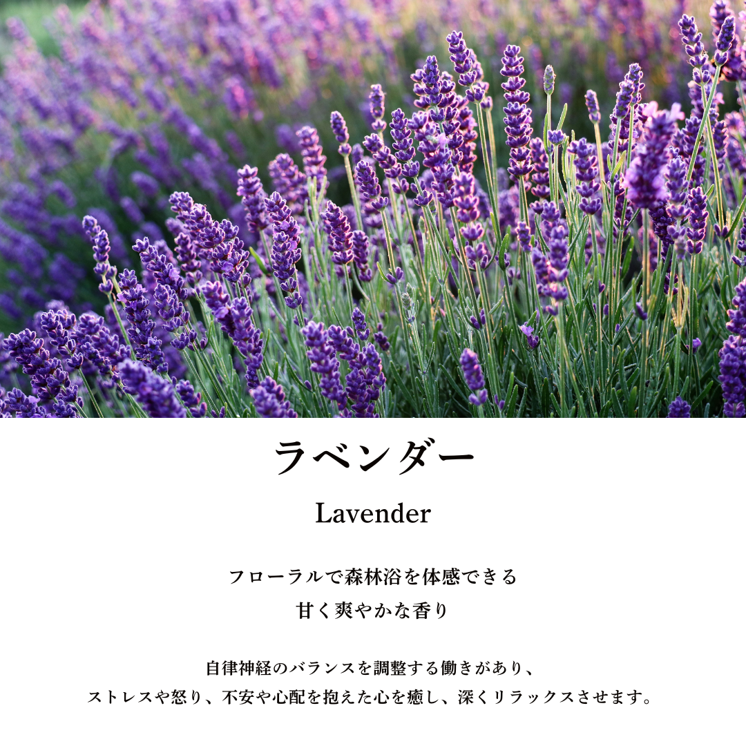 特典付き！】国産ホワイトセージスプレー8種類スターターキット