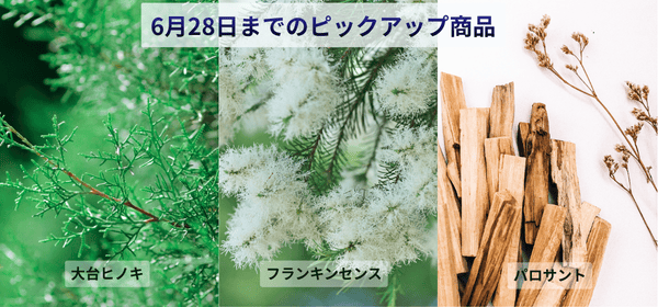28日までのピックアップ商品