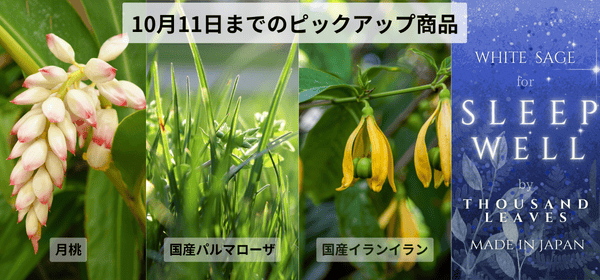 10月11日まで開催中