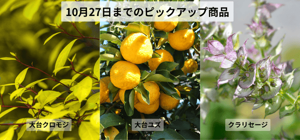 10月27日まで開催中
