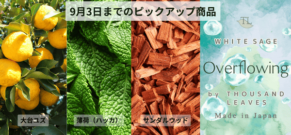 9月3日までキャンペーン開催！