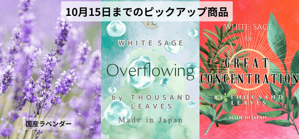 10月15日まで開催中