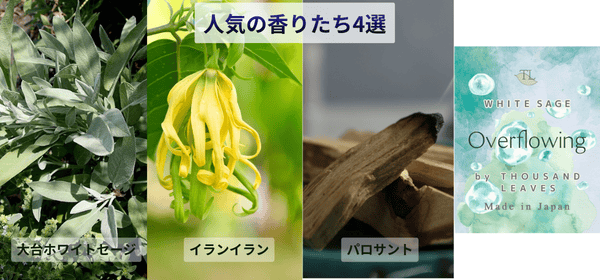 11日までのピックアップ商品