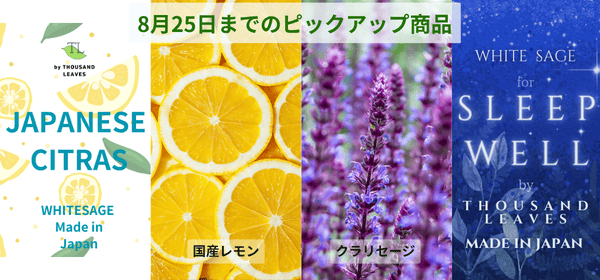 8月25日までキャンペーン開催