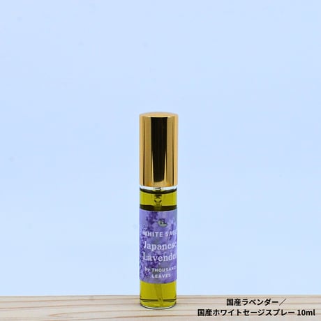 SALE | Thousand Leaves（サウザンリーヴズ）