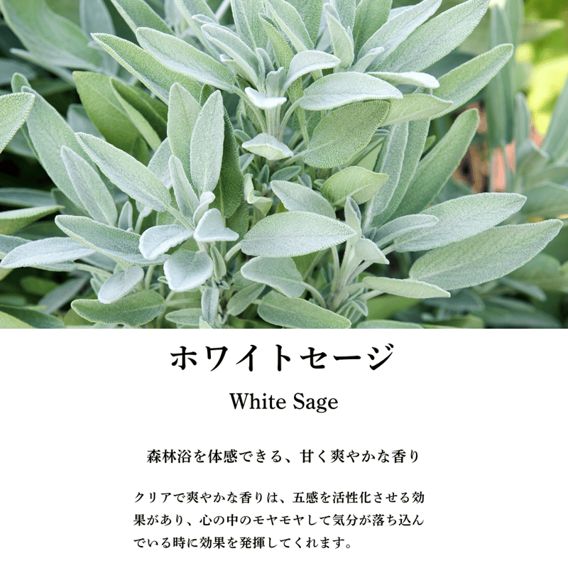 特典付き！】国産ホワイトセージスプレー8種類スターターキット