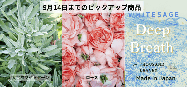 9月27日までキャンペーン開催