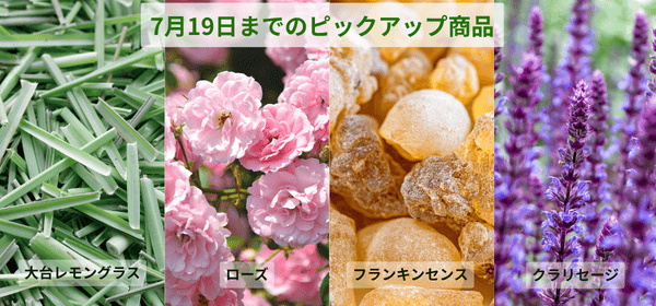 19日までのピックアップ商品