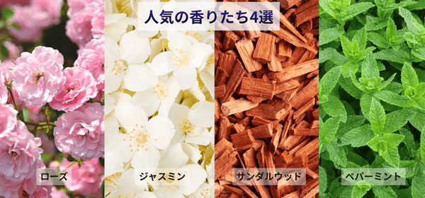 6月7日までのピックアップ商品