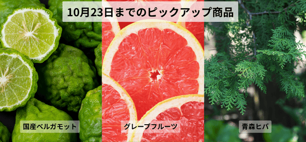10月23日まで開催中